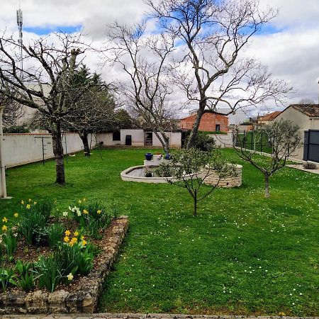 Maison Plain Pied Avec Jardin, Terrasse Et Veranda Cognac Exteriér fotografie
